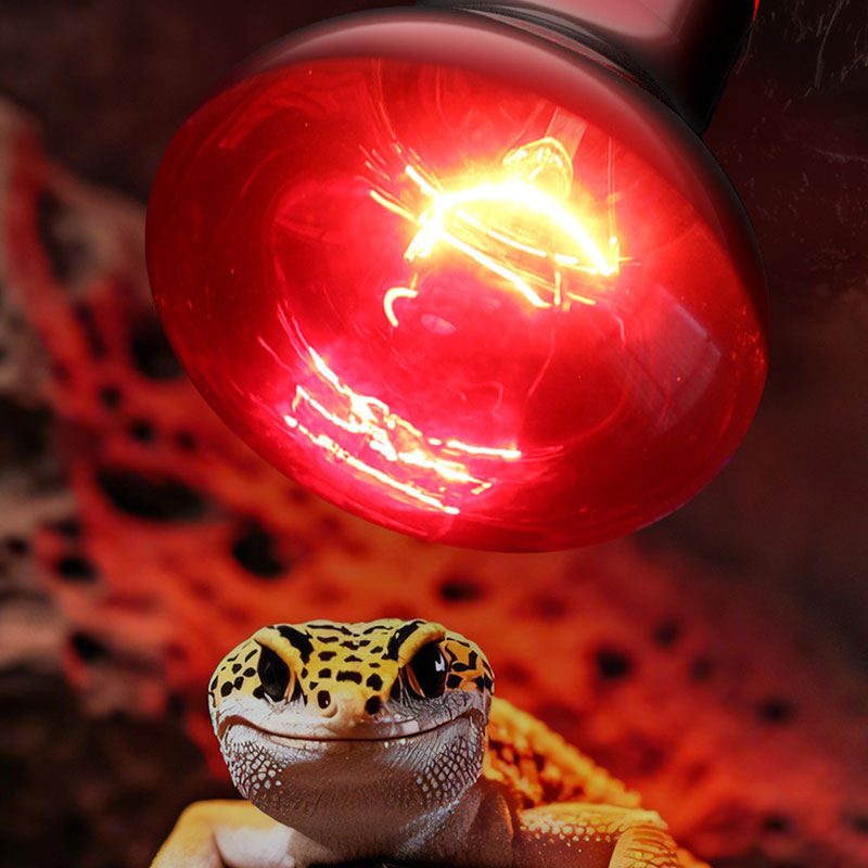 Lampada Riscaldante per Rettil - Gecko Lighting & Decor recensione e prezzo
