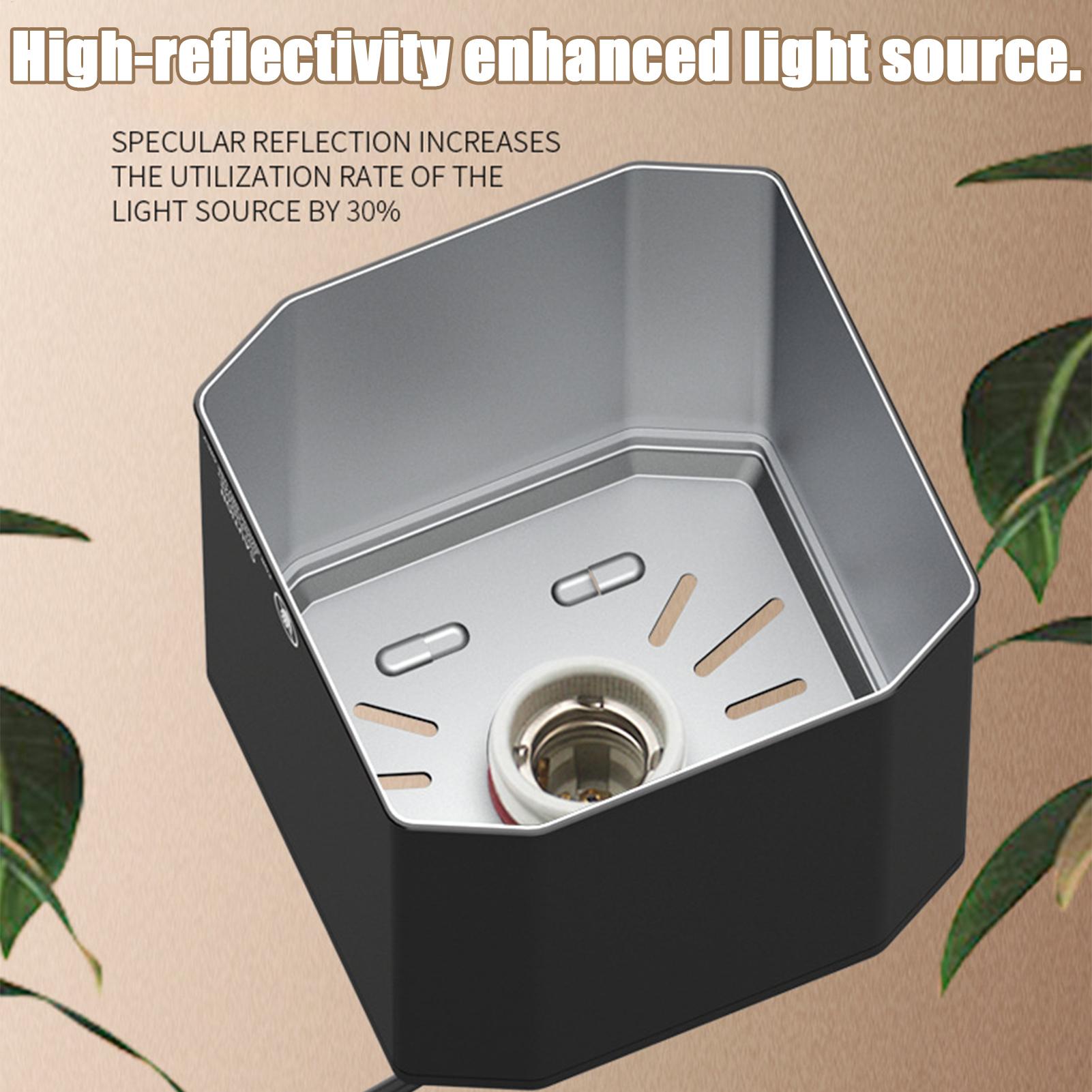 Copertura della lampada di cal - Gecko Lighting & Decor recensione e prezzo