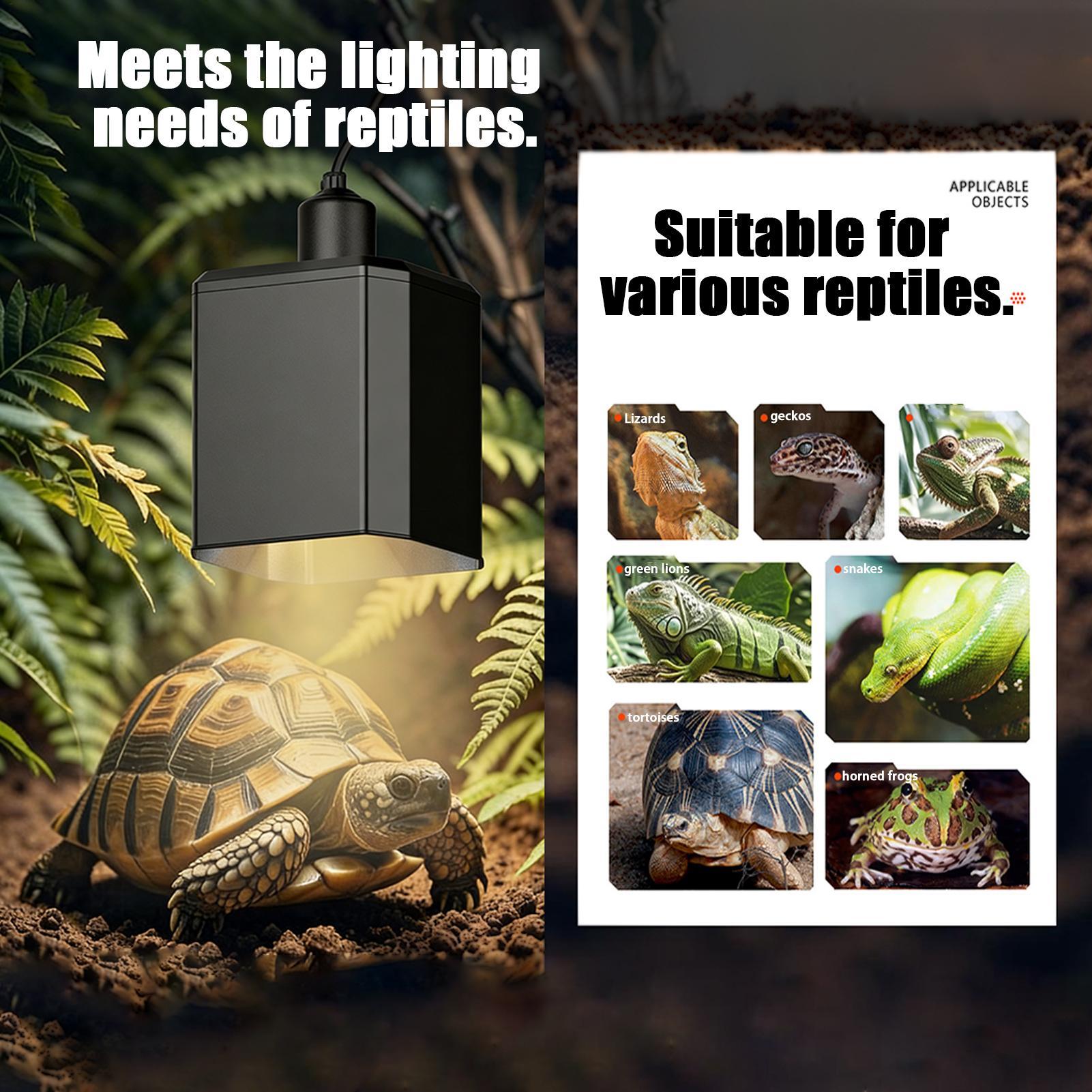 Copertura della lampada di cal - Gecko Lighting & Decor recensione e prezzo