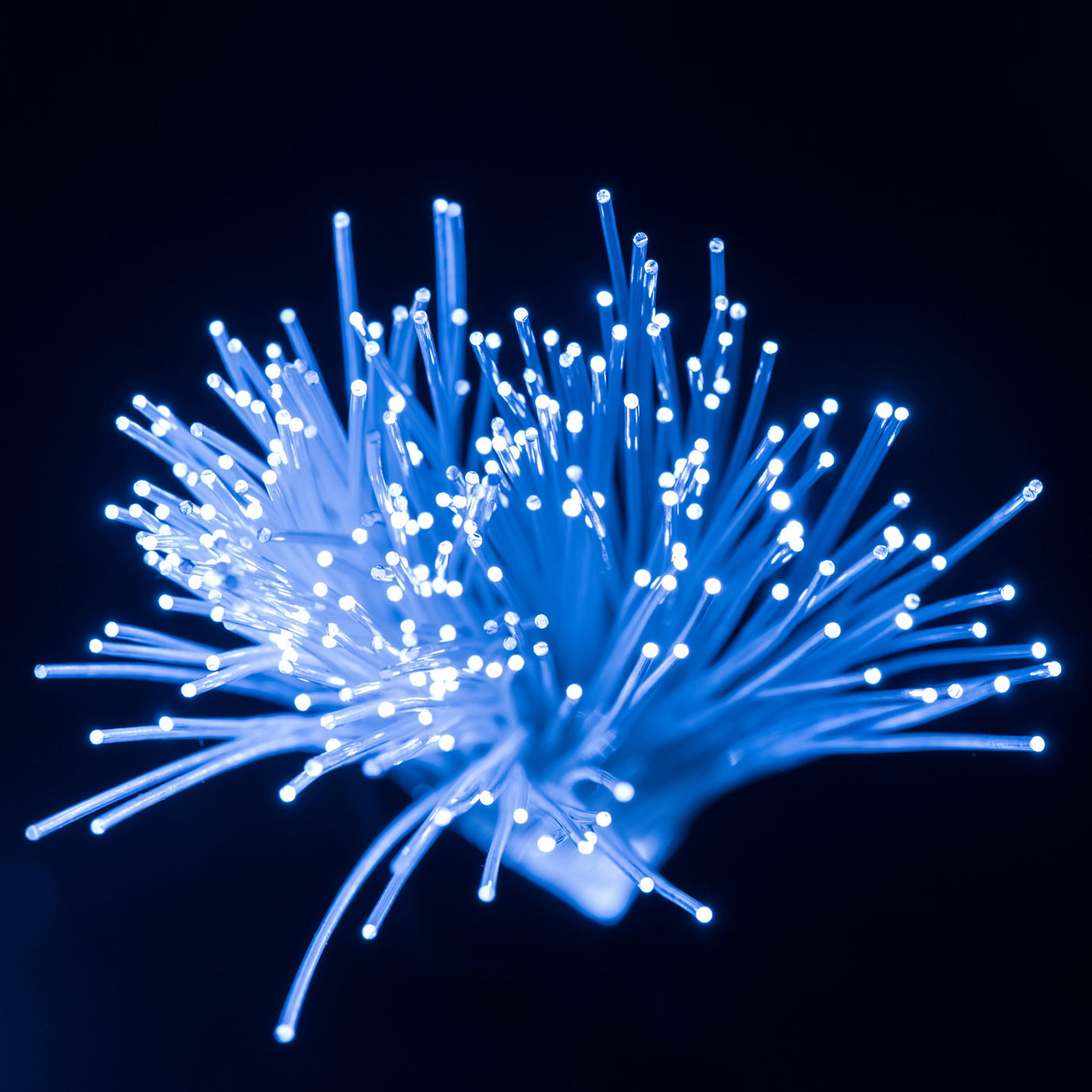 Fibra Ottica Guida Luce da 100 - Decor Lighting Fixtures recensione e prezzo