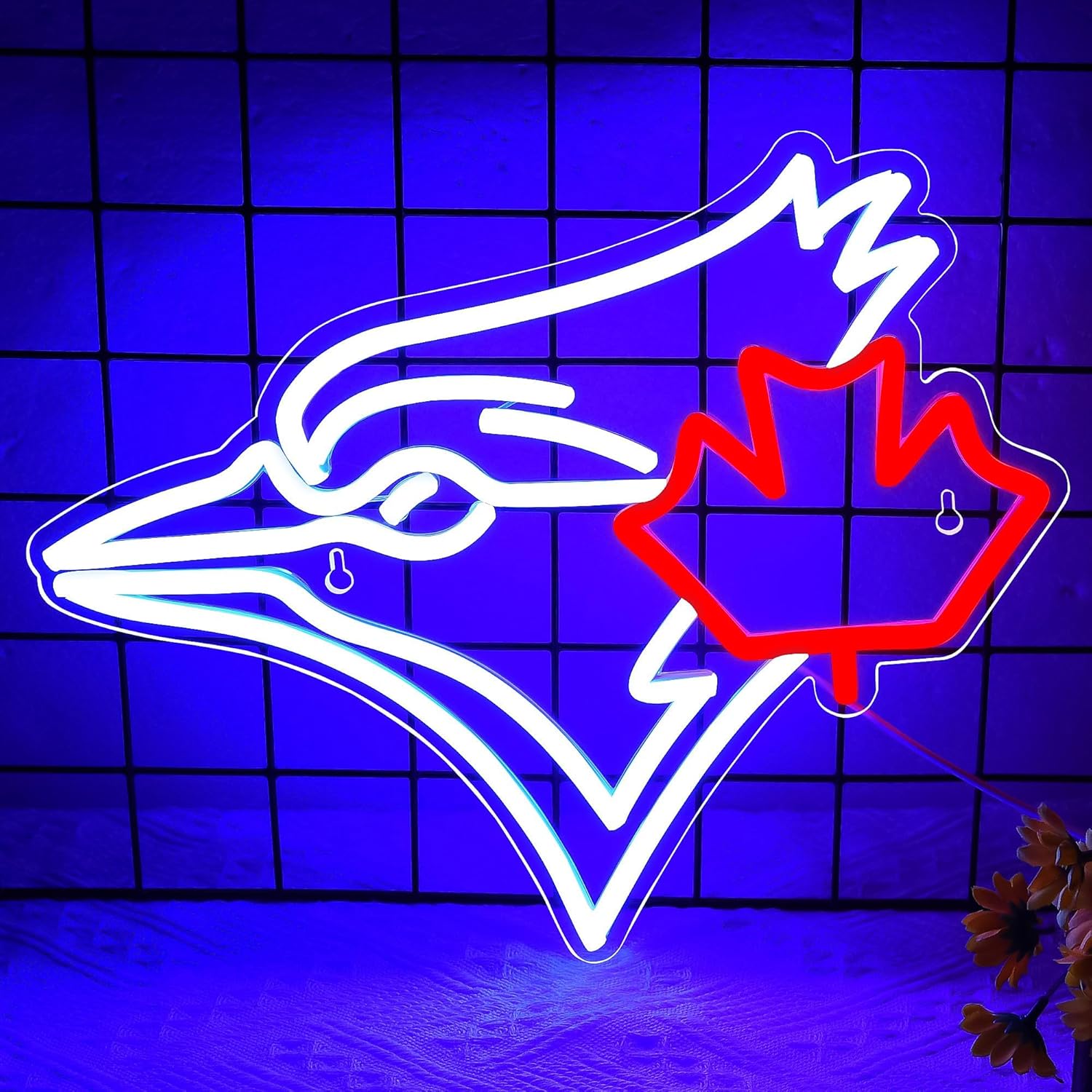 USB dimmerabile Blue Jay con i - Jay Lighting Decor recensione e prezzo
