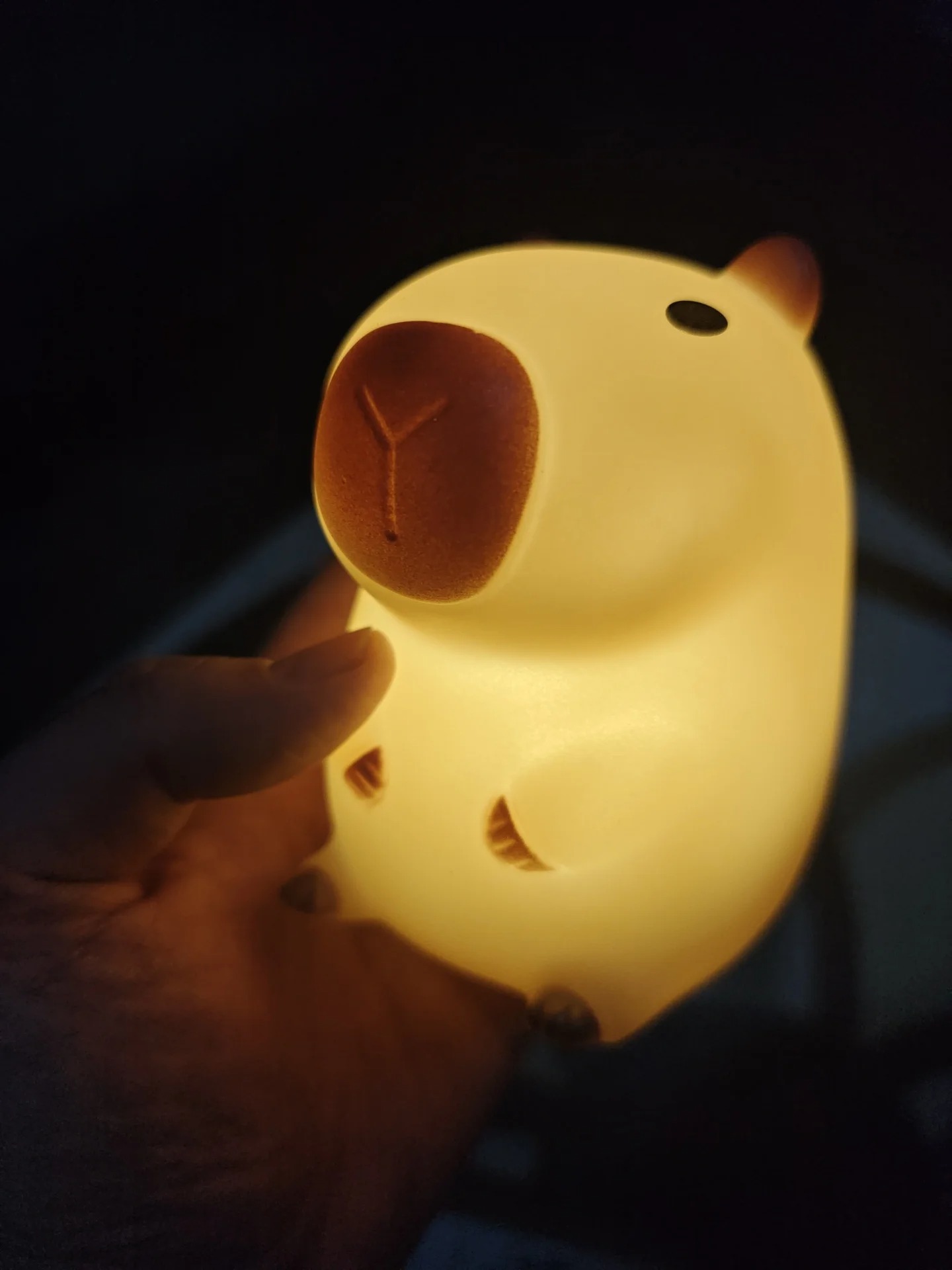 Lampada Notturna a Forma di Ca - Decor Lighting Sales recensione e prezzo